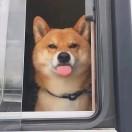 是扣扣呀