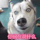 混沌的云