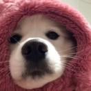 拾