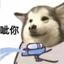 栋哥哥