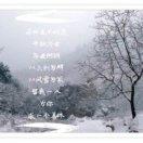 后退的景谁在流连