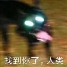 将将将