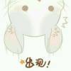 云玩家