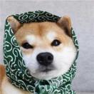 明天会更好