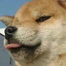 我是小晨