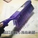 瑟维·勒·罗伊