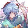 User441484215