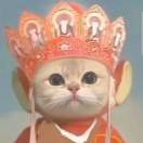 看到了吗
