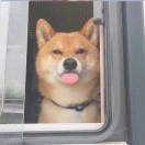 玛卡巴卡