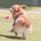 张天毅