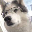 书生