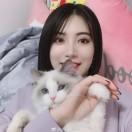 凼凼