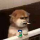 泥头车启动