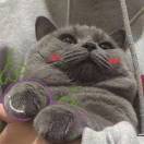 紧她克