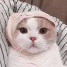 (｡･ω･｡)