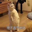 ꧁华夏的崇拜꧂