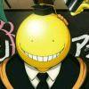 User429026149