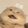 阴阳的明