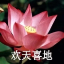 成大爷