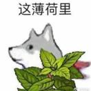 7鹅