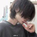 独木不似林