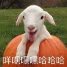苏打柠檬