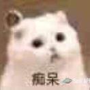 博雅