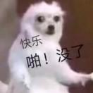 🌻雪