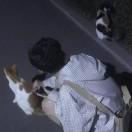 A.～钢镚儿