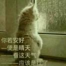 十年待你拾年
