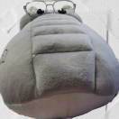 迷路小天才