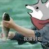 轩