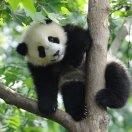 爱玩游戏的我