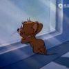忧郁的Jerry