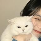 挂柯南