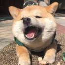 天宏