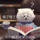 我要滚去学习了