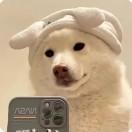 王之助