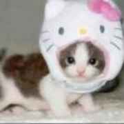 想吃螺蛳粉(痛恨数学版