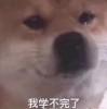丿Devil丶心飞扬