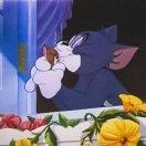 有人疼的大白菜