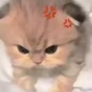 山野藏意深