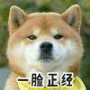 笥烦
