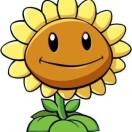 🌞🌞🌞