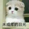 无果