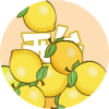 逍遥的π
