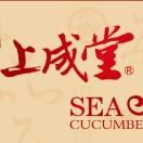 上成堂 海参