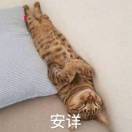 花城