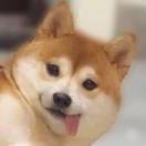 跐溜
