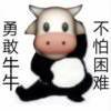 User446794703
